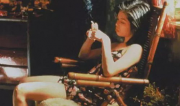 日本性插视频,一场禁忌的视觉盛宴